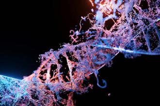 Complemento Mi Salud Genómica